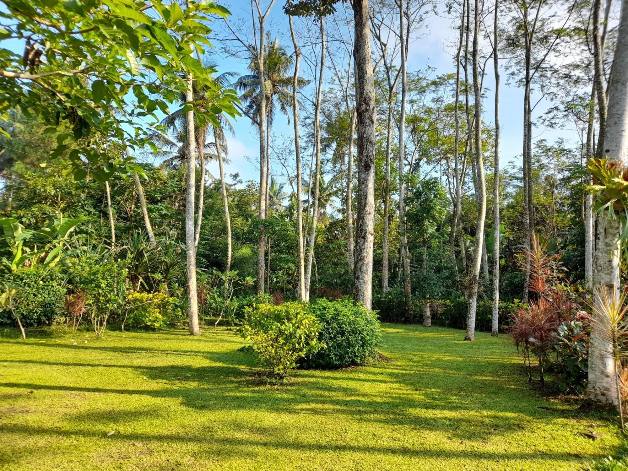 Ndalem Nitihardjan Hotel Magelang Bagian luar foto